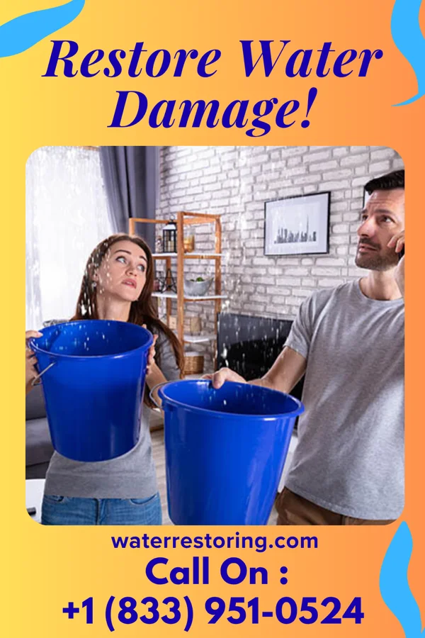 water restoration Diamond Damage Restoration Masters Carpendale
