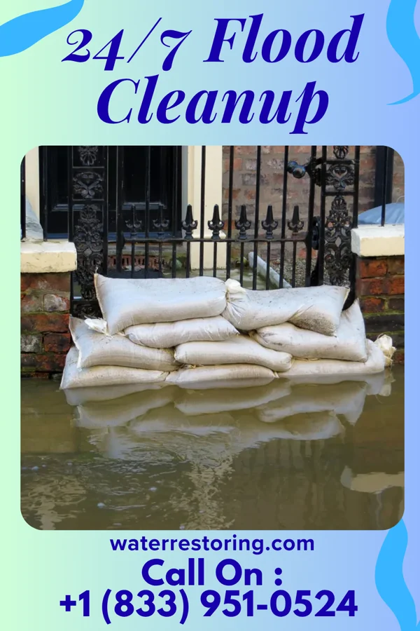 24/7 Flood Cleanup in Carpendale, WV