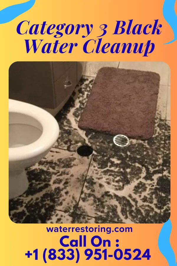 Category 3 Black Water Cleanup in Carpendale, WV
