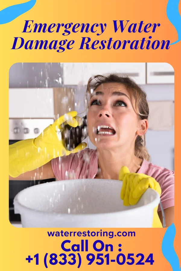 Emergency Water Damage Restoration in Carpendale, WV