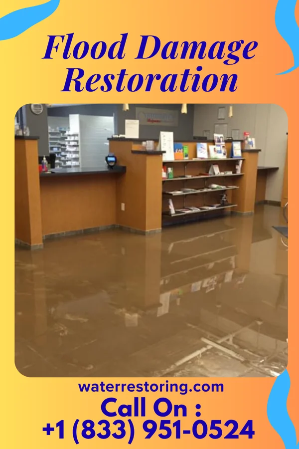 Flood Damage Restoration in Carpendale, WV