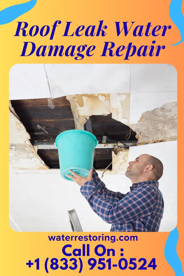 Roof Leak Water Damage Repair in Carpendale, WV