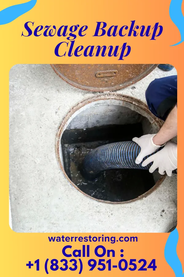 Sewage Backup Cleanup in Carpendale, WV