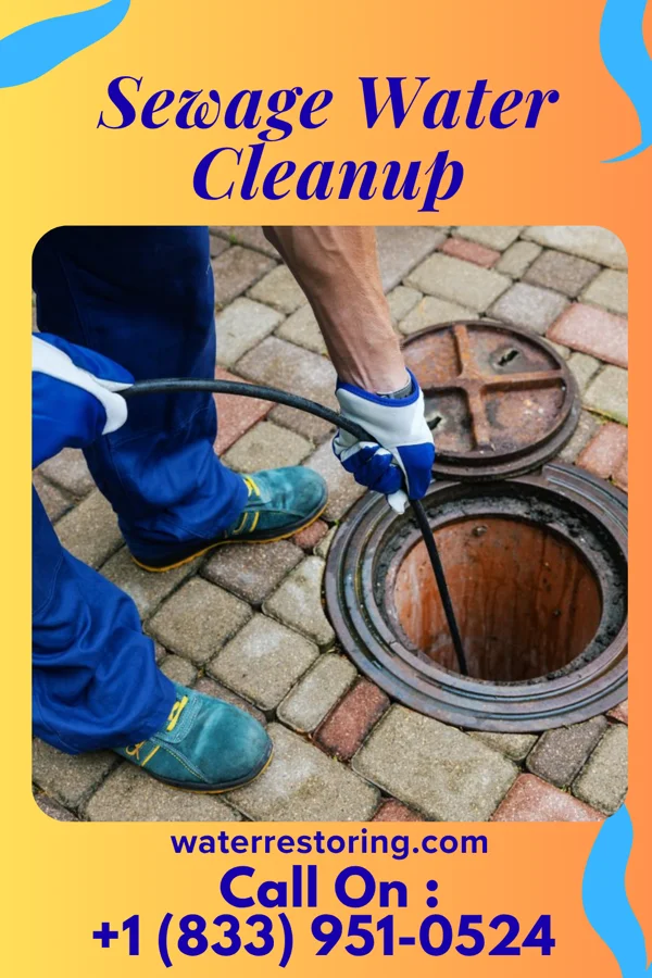 Sewage Water Cleanup in Carpendale, WV