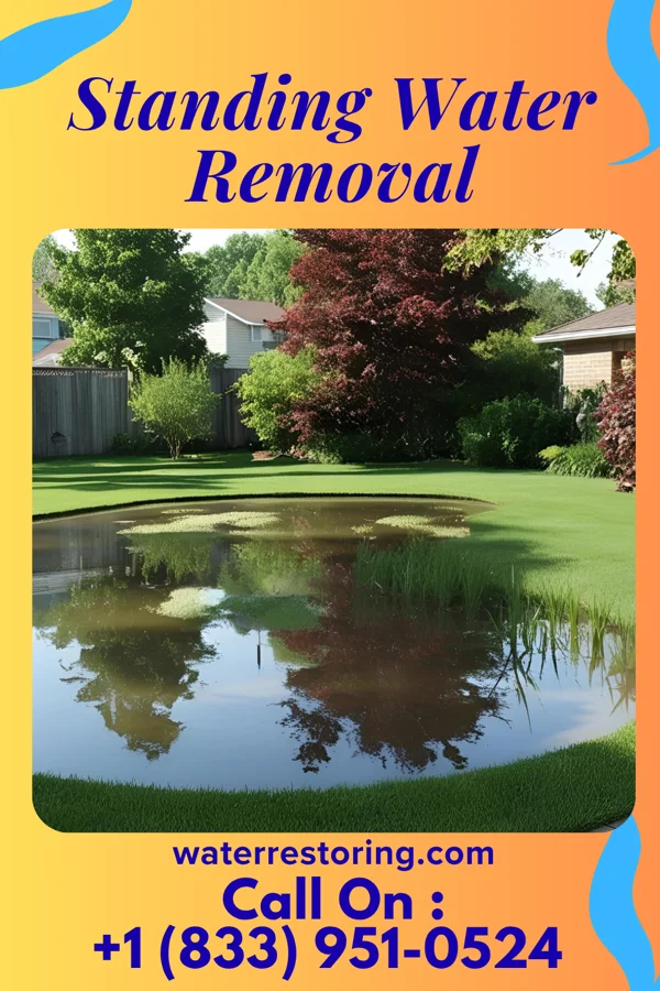 Standing Water Removal in Carpendale, WV
